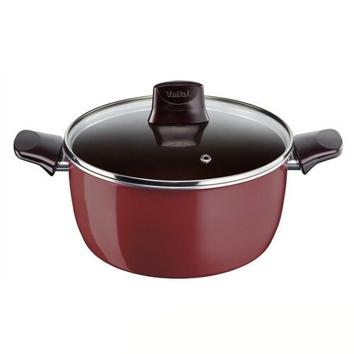 Tefal Titanium Pleasure 24 cm Derin Tencere - 2100089964