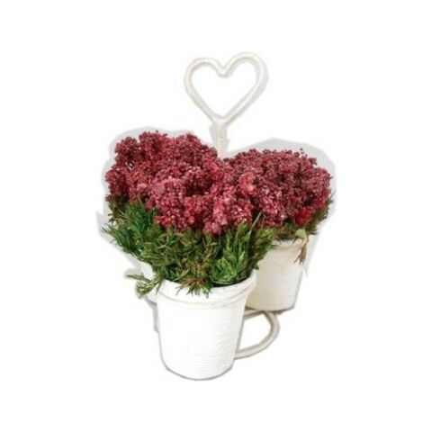 Primanova Dekoratif Çiçek Kalp Saksıda D-D70073