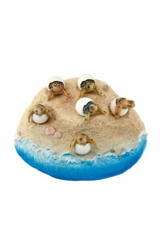 Vitale Pretty Kumda Carette Caretta Kaplumbağalar Biblo Süs Karetta