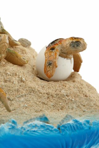 Vitale Pretty Kumda Carette Caretta Kaplumbağalar Biblo Süs Karetta