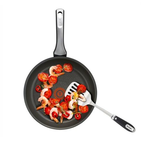 Tefal Titanium Expertise Tava 26 cm