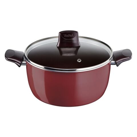 TEFAL Titanium Pleasure Derin Tencere 20 cm