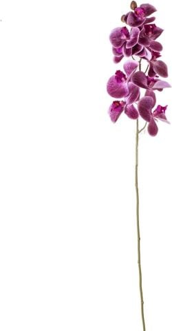 Beyler Orkide 90 cm 1BYB-64496